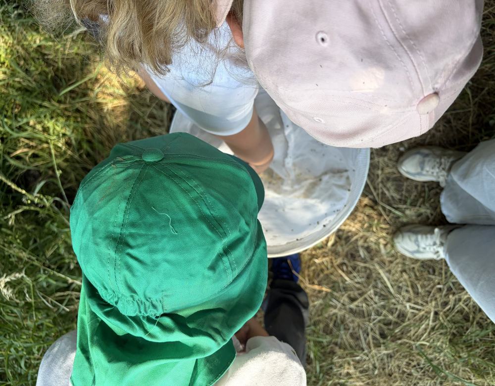Children gathered outdoors during a nature activity.