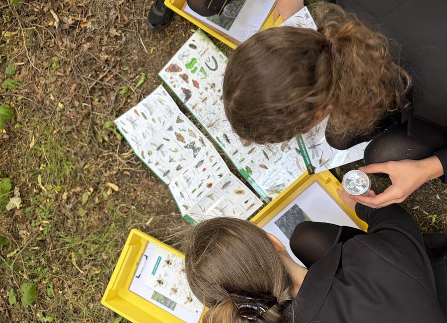 Participants using wildlife identification guides outdoors.
